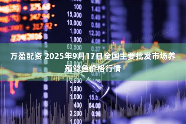 万盈配资 2025年9月17日全国主要批发市场养殖鲶鱼价格行情