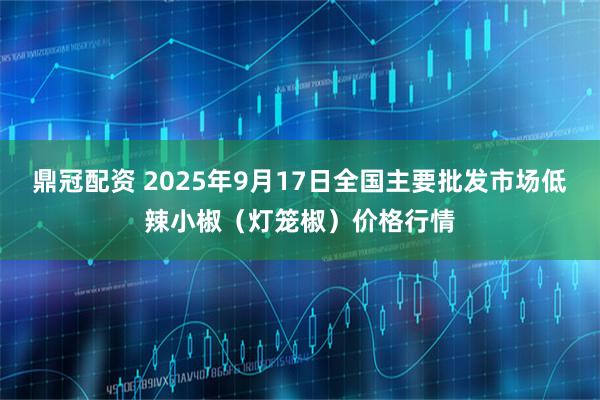 鼎冠配资 2025年9月17日全国主要批发市场低辣小椒（灯笼椒）价格行情