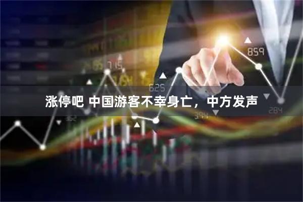 涨停吧 中国游客不幸身亡，中方发声