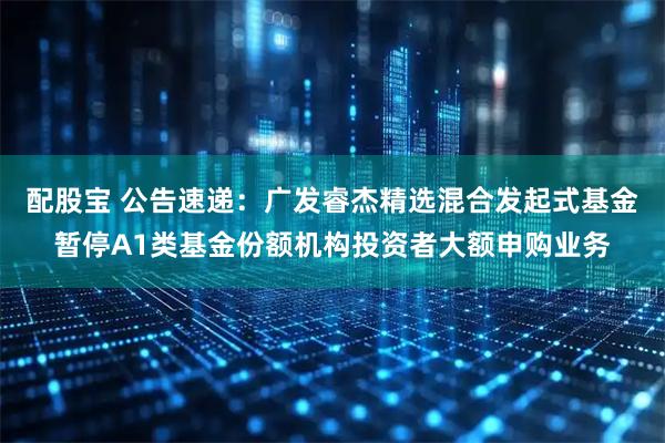 配股宝 公告速递：广发睿杰精选混合发起式基金暂停A1类基金份额机构投资者大额申购业务